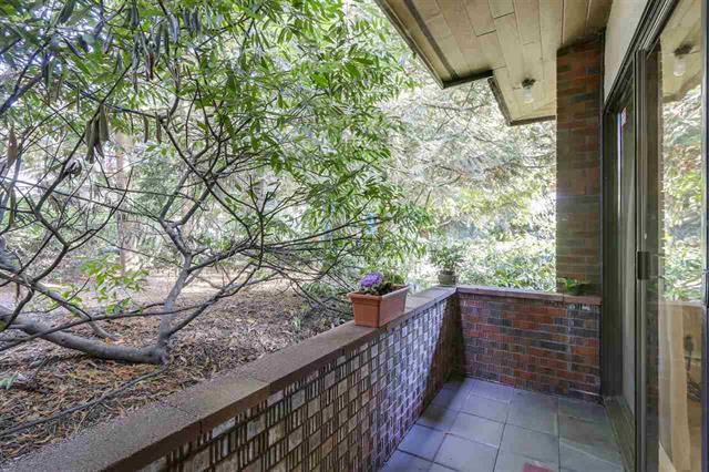 106 7428 19TH AVENUE, Burnaby East, BC 13