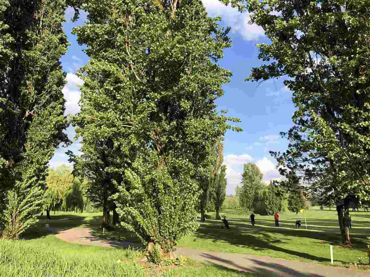 44 7848 170 Street, Surrey 33